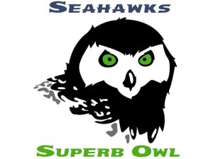 Seahawks Superb Owl