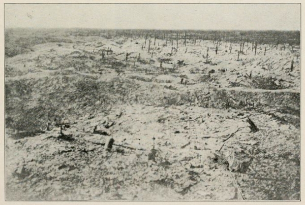 "No Man's Land in Argonne", photo from page 25 of The History of the 362nd (Internet Archive)