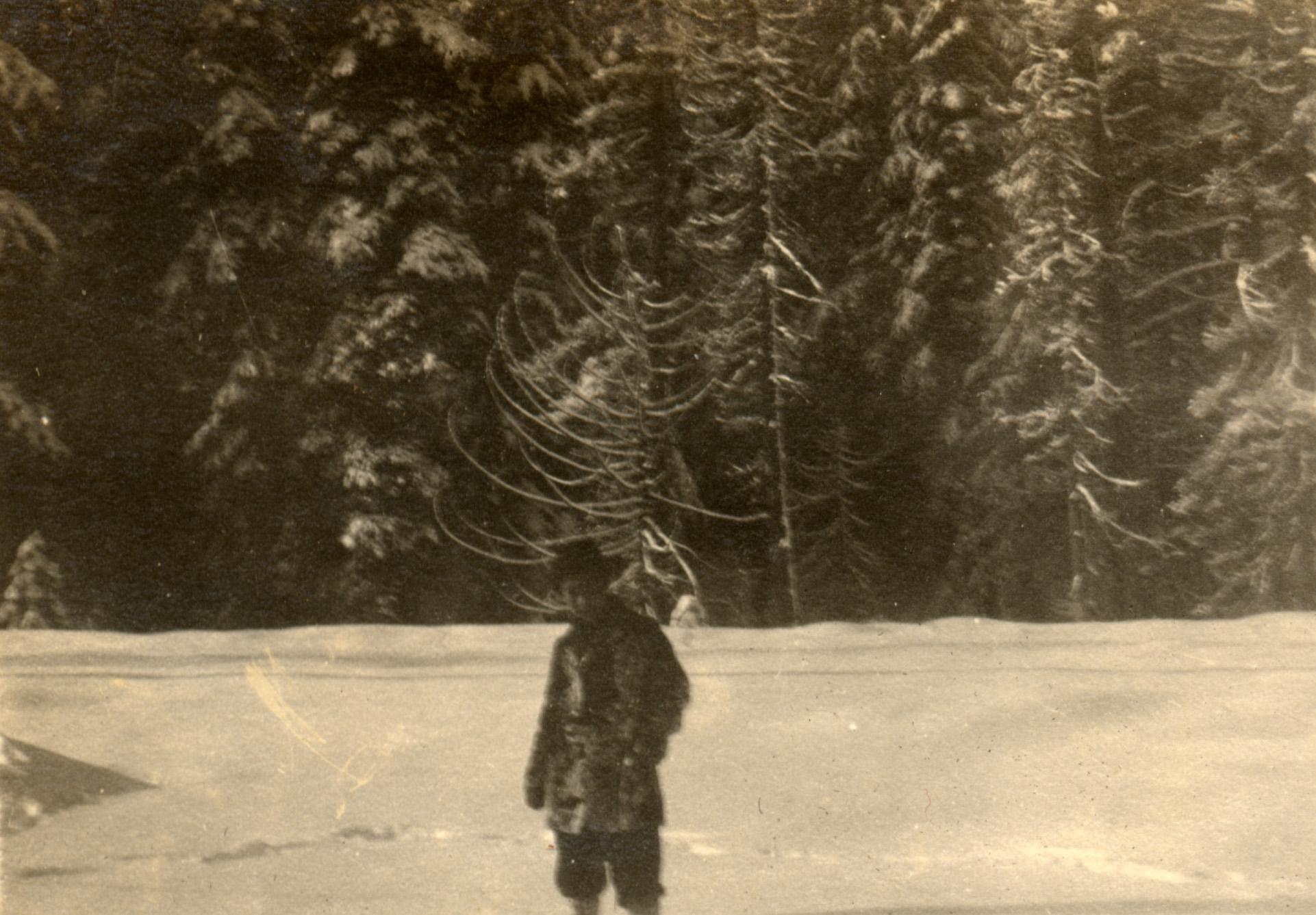 George nakashima stands bundled up, but white with snow, perhaps from playing in the snow. He's surrounded by level snow and in the near distance a wall of trees backdrops the scene.